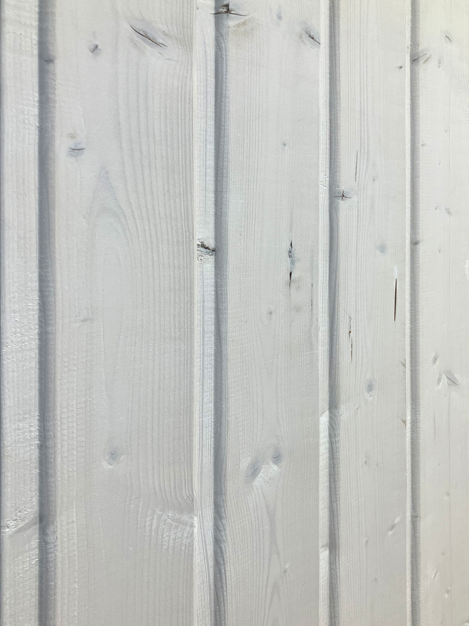 Profilholz Fichte Nut & Feder Weiß Grundiert 14 x 121 x 4200 mm